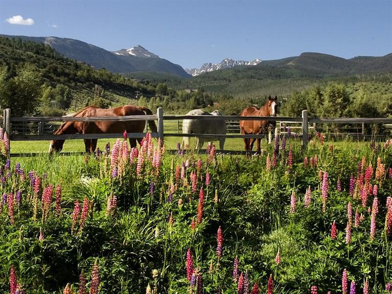 Edwards, CO - $4,950,000